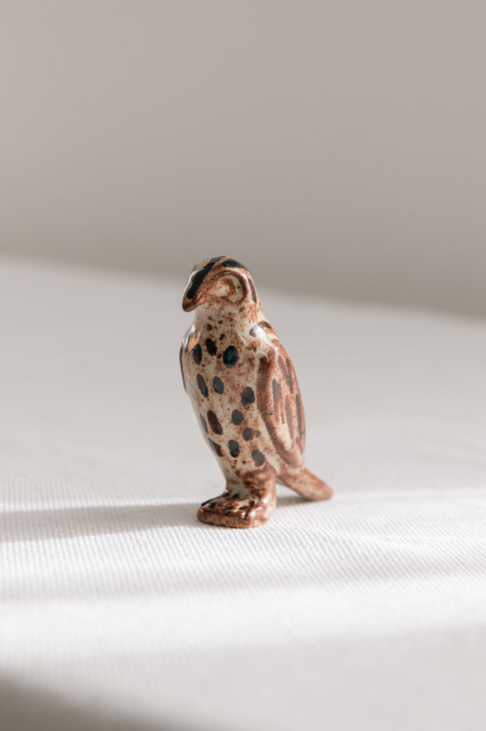 Egyptian Falcon