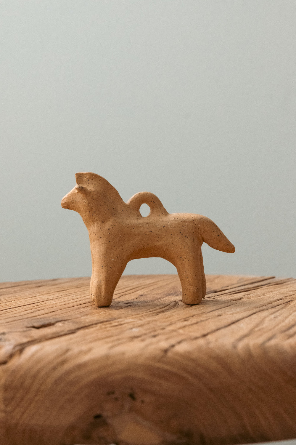 Egyptian Donkey