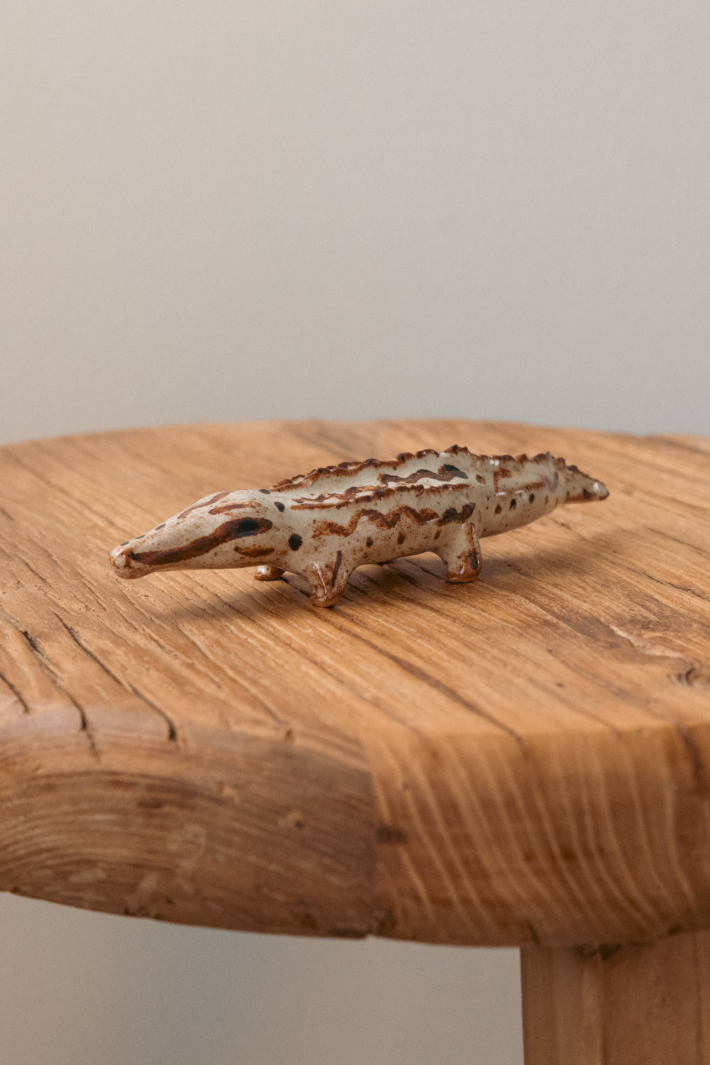 Nile Crocodile