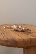 Nile Crocodile
