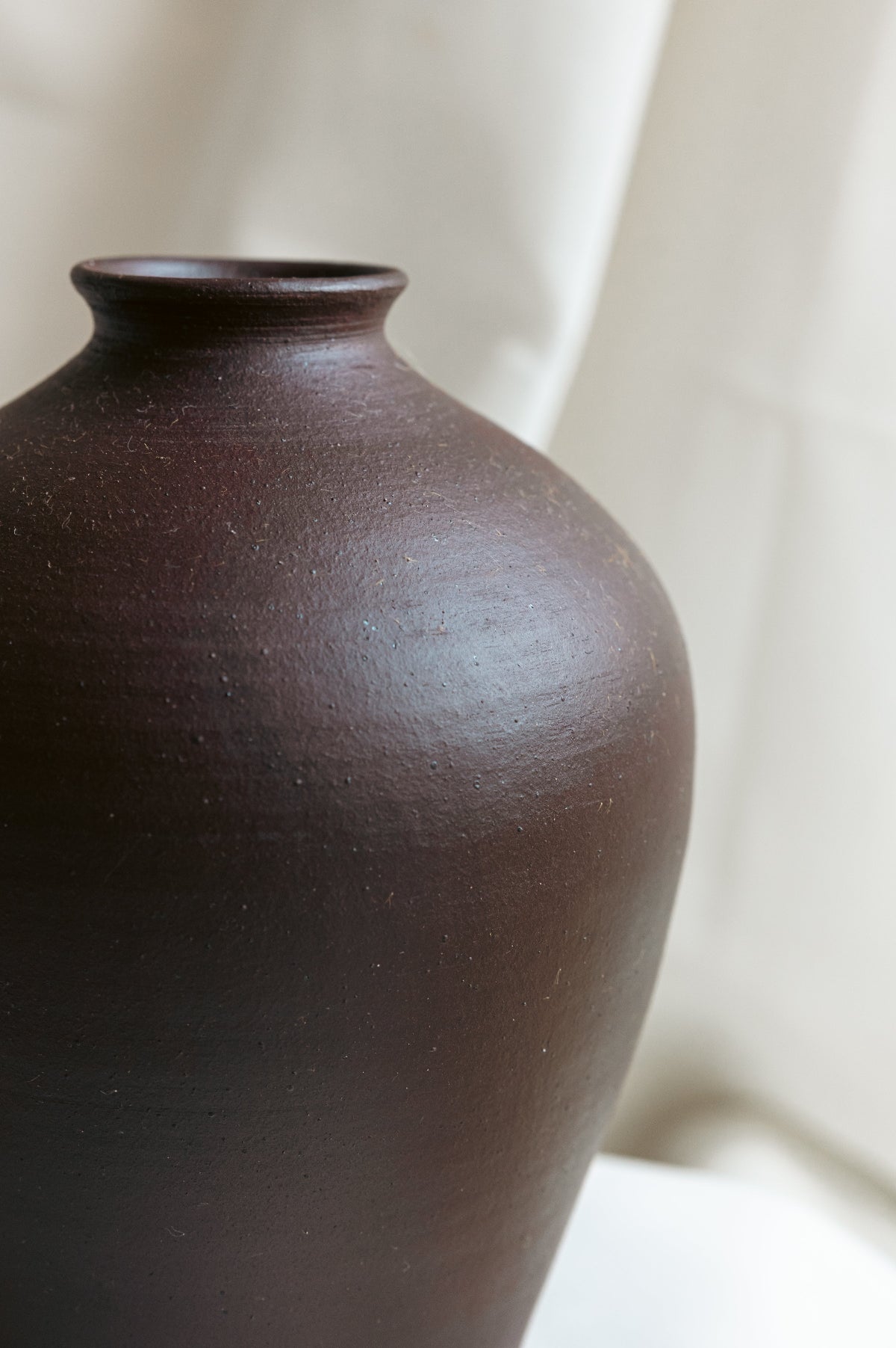 Black Vase 1