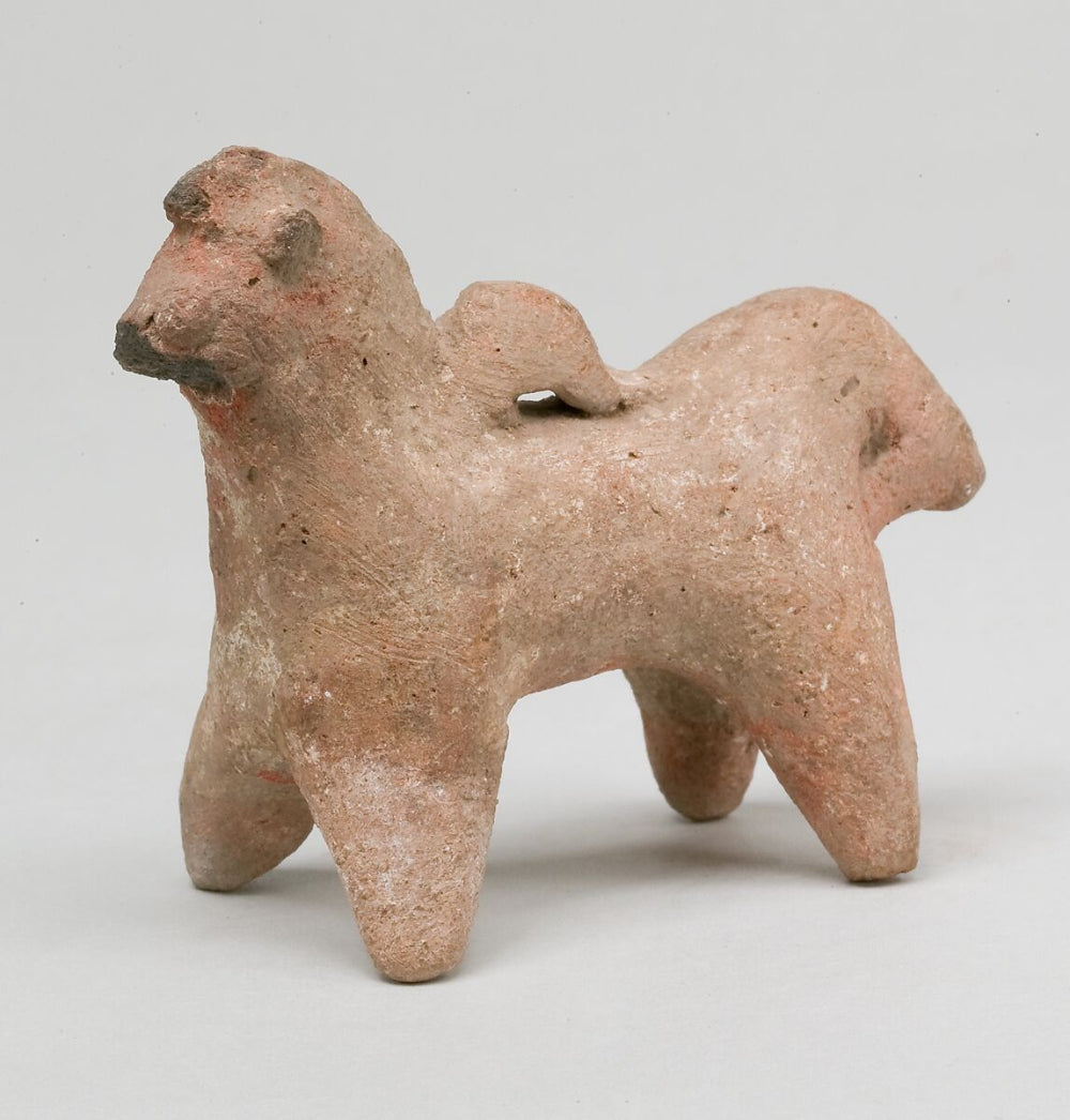 Egyptian Donkey